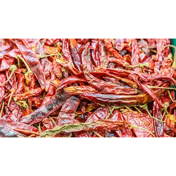  Fresh Guntur Dry Red Chilli
